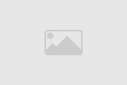 image placeholder.webp